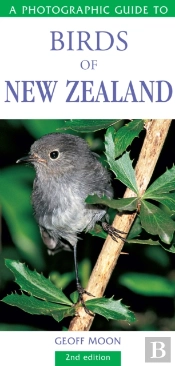 A Photographic Guide To Birds Of New Zealand