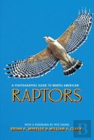 A Photographic Guide To North American Raptors