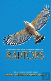 A Photographic Guide To North American Raptors