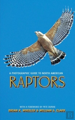 Bertrand.pt - A Photographic Guide To North American Raptors