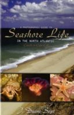 Bertrand.pt - A Photographic Guide To Seashore Life In The North Atlantic