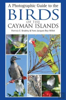 Bertrand.pt - A Photographic Guide To The Birds Of The Cayman Islands