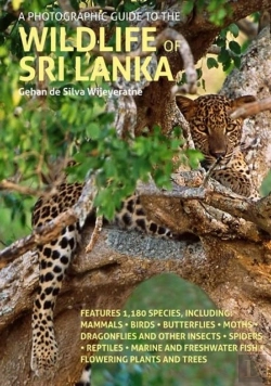 Bertrand.pt - A Photographic Guide To The Wildlife Of Sri Lanka