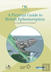 A Pictorial Guide To British Ephemeroptera