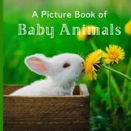 A Picture Book Of Baby Animals