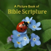 A Picture Book Of Bible Scripture