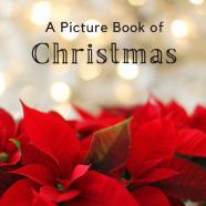 A Picture Book Of Christmas