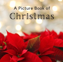 Bertrand.pt - A Picture Book Of Christmas