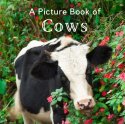 Bertrand.pt - A Picture Book Of Cows