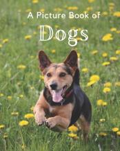 A Picture Book Of Dogs