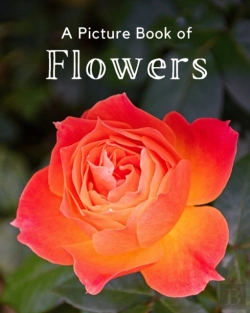 Bertrand.pt - A Picture Book Of Flowers
