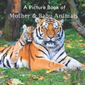 A Picture Book Of Mother & Baby Animals