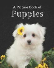 A Picture Book Of Puppies