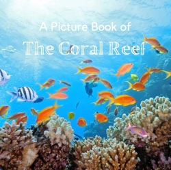 Bertrand.pt - A Picture Book Of The Coral Reef