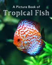 A Picture Book Of Tropical Fish