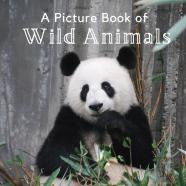 A Picture Book Of Wild Animals