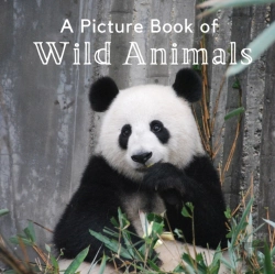 Bertrand.pt - A Picture Book Of Wild Animals