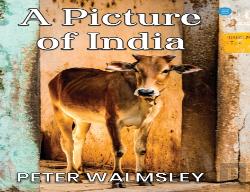 A Picture Of India