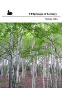 A Pilgrimage Of Donkeys