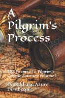 A Pilgrim'S Process