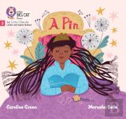 A Pin