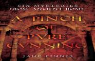 A Pinch Of Pure Cunning