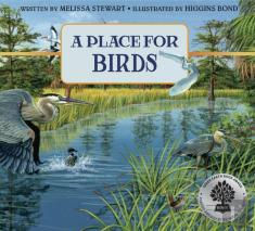 A Place For Birds