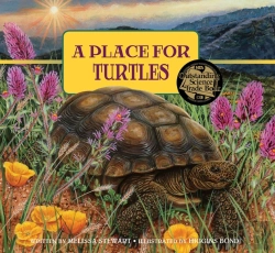Bertrand.pt - A Place For Turtles