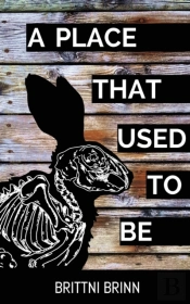 A Place That Used To Be