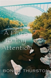 A Place To Pay Attention