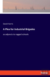 A Plea For Industrial Brigades