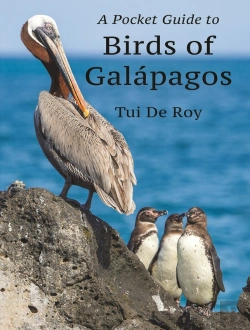 Bertrand.pt - A Pocket Guide To Birds Of Galápagos