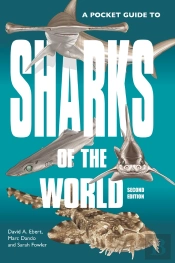 A Pocket Guide To Sharks Of The World