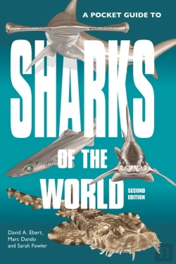 Bertrand.pt - A Pocket Guide To Sharks Of The World