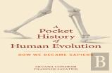 A Pocket History Of Human Evolution