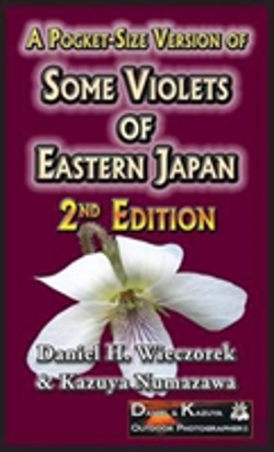 Bertrand.pt - A Pocket-Size Version Of Some Violets Of Eastern Japan