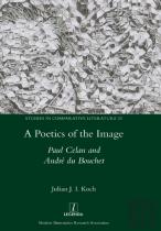A Poetics Of The Image