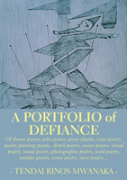 A Portfolio Of Defiance