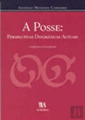 A Posse: Perspectivas Dogmáticas Actuais