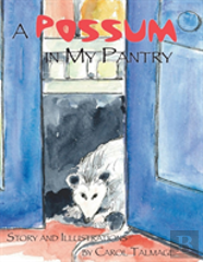 A Possum In My Pantry
