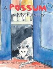 A Possum In My Pantry