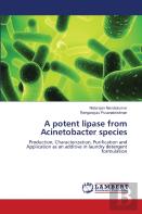 A Potent Lipase From Acinetobacter Species