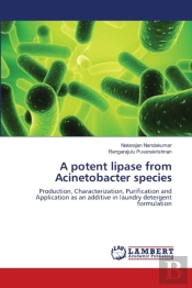 A Potent Lipase From Acinetobacter Species