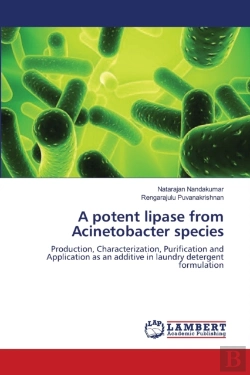 Bertrand.pt - A Potent Lipase From Acinetobacter Species