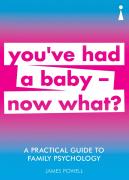 A Practical Guide To Family Psychology