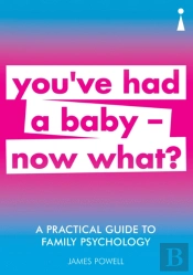 A Practical Guide To Family Psychology