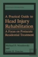 A Practical Guide To Head Injury Rehabilitation
