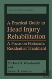 A Practical Guide To Head Injury Rehabilitation