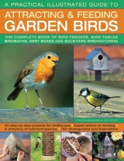 A Practical Illustrated Guide To Attracting & Feeding Garden Birds