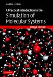 A Practical Introduction To The Simulation Of Molecular Systems